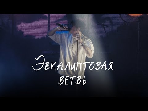 Video thumbnail for эвкалиптова ветвь (eucalyptus branch) (ONF)