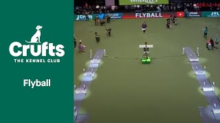 Flyball Team Semi-Finals (Including Young Kennel Club Flyball) | Crufts 2022