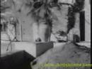 Isle Of Capri video