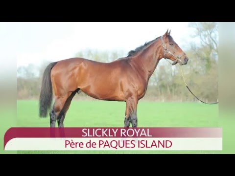 SLICKLY ROYAL, Père de PAQUES ISLAND (Prix de Tire Gerbe, Lyon-la-Soie)