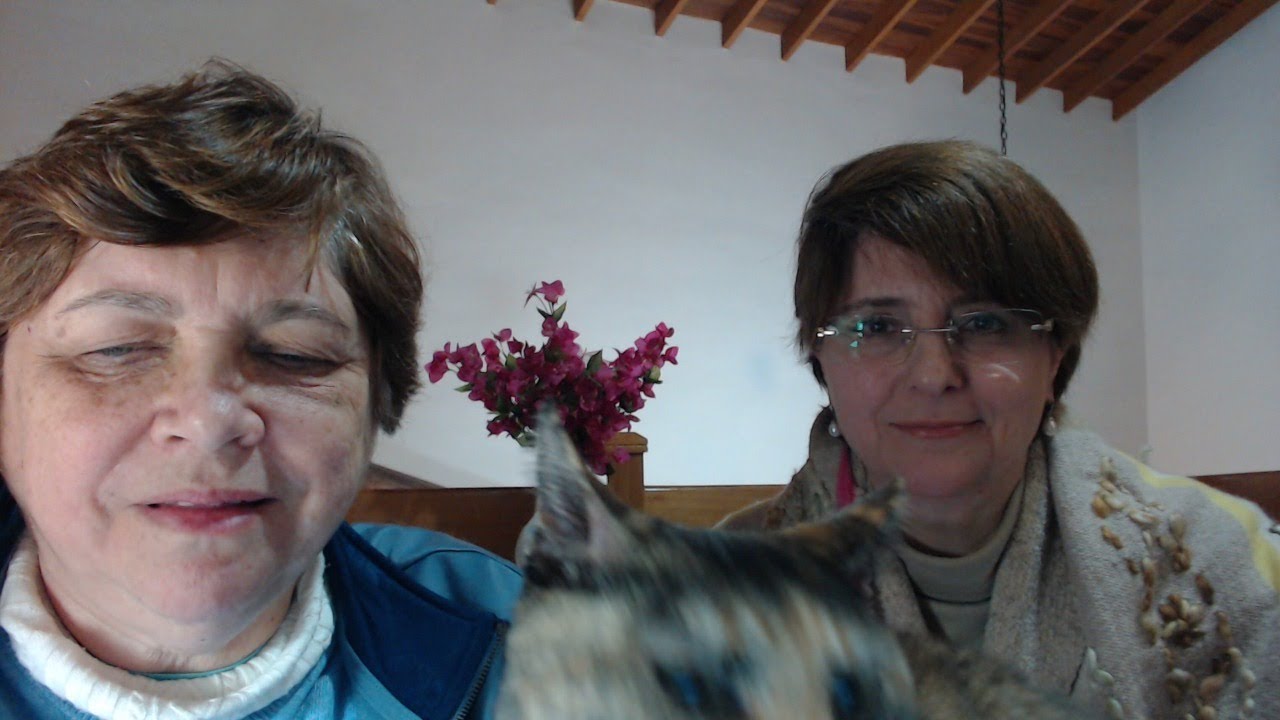 SHELL Y ANN , 28/5/2020