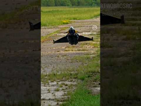 Rafale Last Second Gear Drop #aviation #rc #rcplane