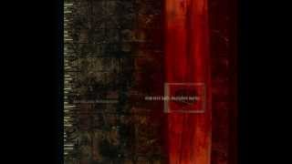 Nine Inch Nails - Disappointed (HD)