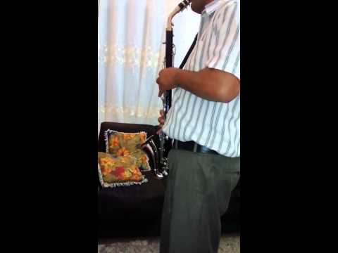 Clarone alto Selmer CEL whatssap 11-97375-0151