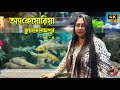 Aquaria Tour In Kuala Lumpur Belice Chocolate Kingdom In Kualalumpur EXPLORER SUBHAMOY