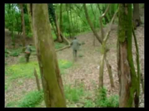 Trailer van The Killer