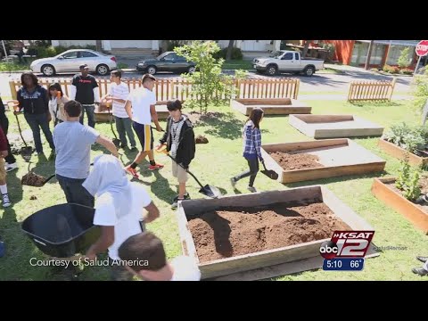 Making Awesome Changes: Community gardens