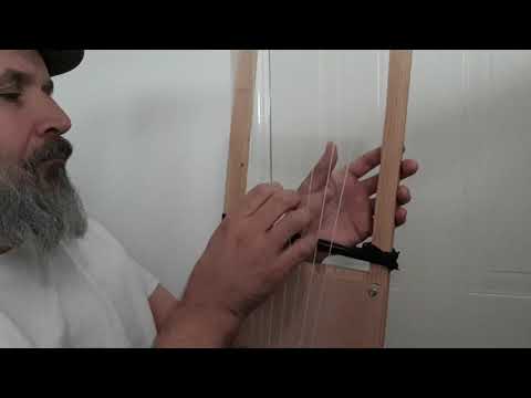 Flowers of the Field by Terrence Bell