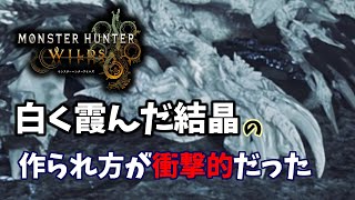 モンスターから結晶が生えてくる・・・【モンハンワイルズ】