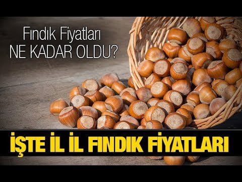 download lagu mp3 mp4 Findik Fiyati Unye, download lagu Findik Fiyati Unye gratis, unduh video klip Findik Fiyati Unye