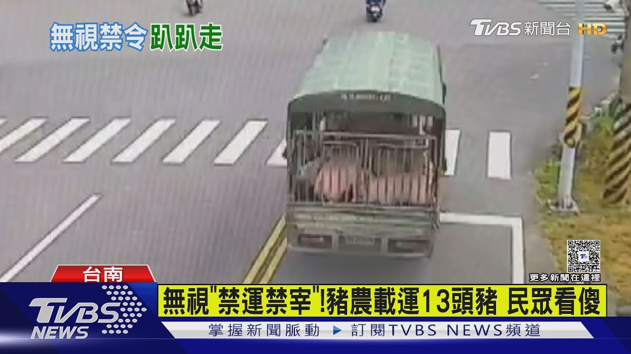 台南豬農私自運豬開罰35萬! 黃偉哲:再守不住就連滾帶爬