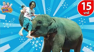 เพลงเด็ก เพลงช้าง เพลงลิง เจี๊ยกๆ เต่า เป็ด ตัวเป็นๆ รวมเพลงเด็กอนุบาล  15 นาที By KidsMeSong