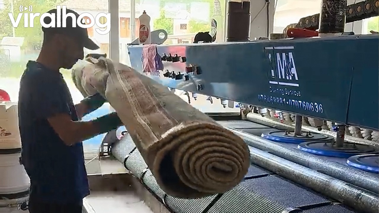 Satisfying Carpet Cleaning Machine || ViralHog