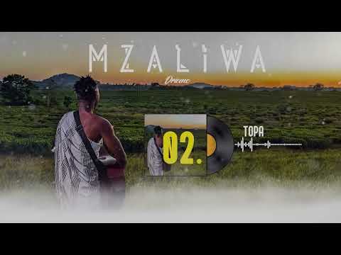 DRIEMO - TOPA (Official audio visualizer) #Mzaliwa
