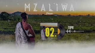 Download lagu DRIEMO - TOPA ( audio visualizer) #Mzaliwa mp3