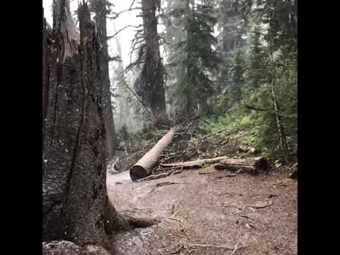 Unexpected Snow Surprises Hiker in Teton Pass, Wyoming