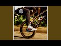 Biking Solo