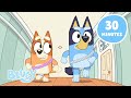 Bluey S Sunny Spring Tales ️ 30 MINUTES Of Bluey Stories Bluey