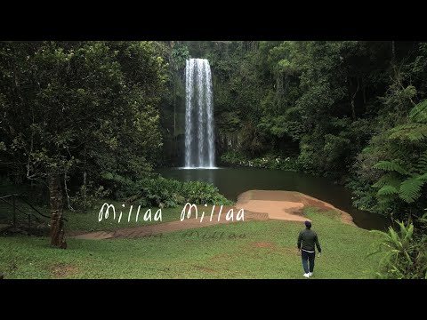 Millaa Millaa Falls - Tropical North Queensland A7SIII DJI Mini 3 Pro Travel Film
