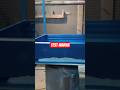 Test Warna Sangkarburung Aktifitas Woodworking Video Viralvideo