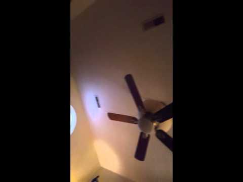 The Fart Gravy Sessions