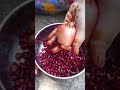 Pomegranate Juice Simple Method