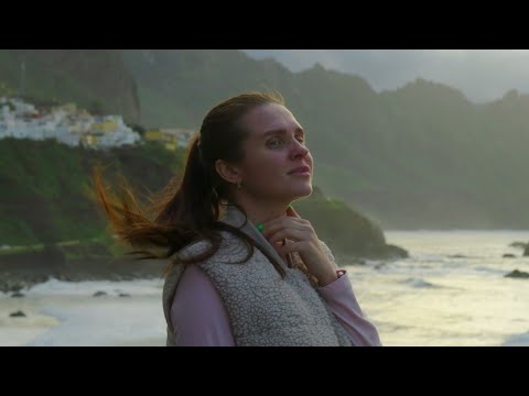 De steen - Bram Vermeulen