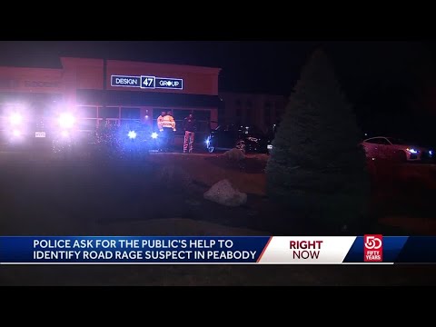 Road rage suspect sought after gunshots fired at woman's car