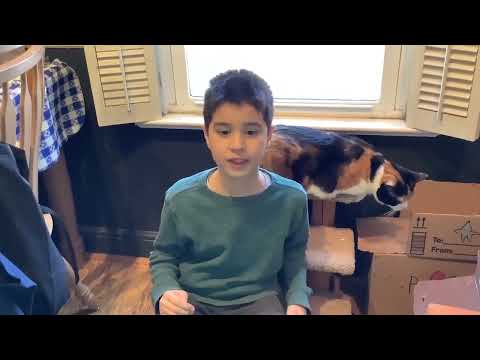 Group 4th Place (tie): What is a Calico Cat? Video Screenshot