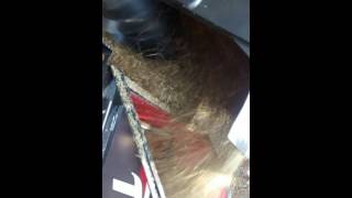 DESENSILADEIRA TRAMIX 1.6