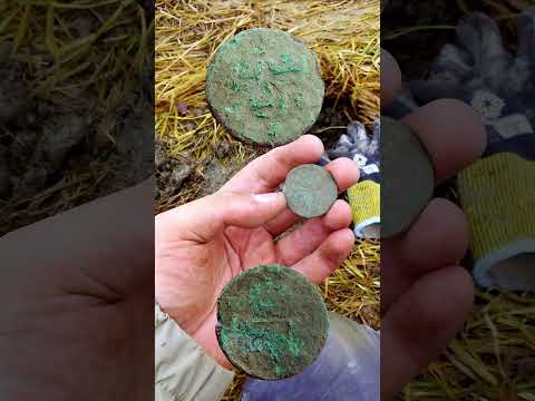 Pt2: Metal detecting a Viking Age farm in Finland with friends  #metaldetecting #history #finland