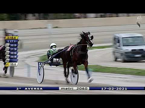 Aversa trotto 17 Febbraio 2021 - 2° Corsa