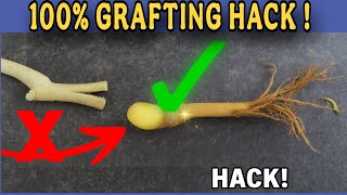 🌱 Secret Grafting Hack for 100% Success! | Works on All Plants 🔥