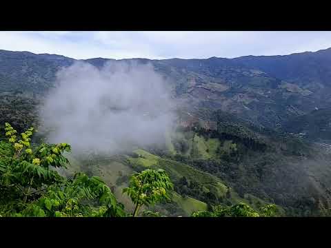 cerro de la muerte. Pérez zeledon, san jose. 
