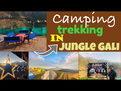 Jungle Gali Katra | Unexplored Jammu and Kashmir | Cloud Camp & Cafe