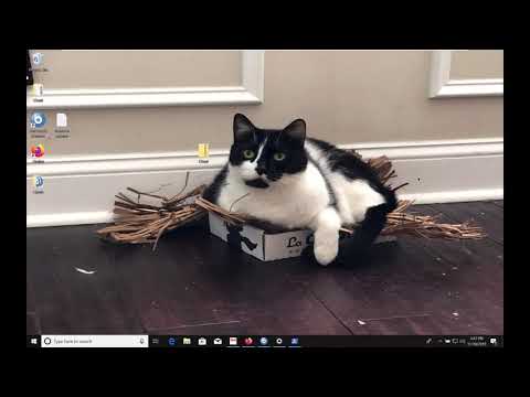 Script de ação 101 Parte 3