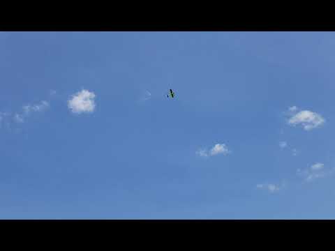 Eclipson model c flies. You won't believe what happens