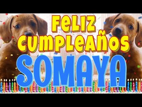 ¡Feliz Cumpleaños Somaya! (Perros hablando gracioso) ¡Muchas Felicidades Somaya!