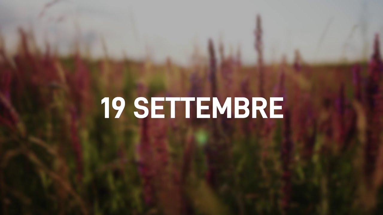 19 Settembre 2025 | Meditazione Parole di Vita