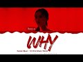 Hwasa - 'WHY' Lyrics Color Coded (Han/Rom/Eng)