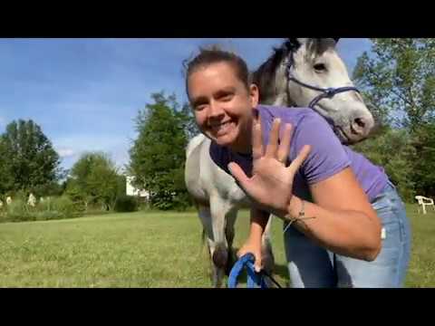 Single Pole Challenge! A Horse Ground Pole Exercise