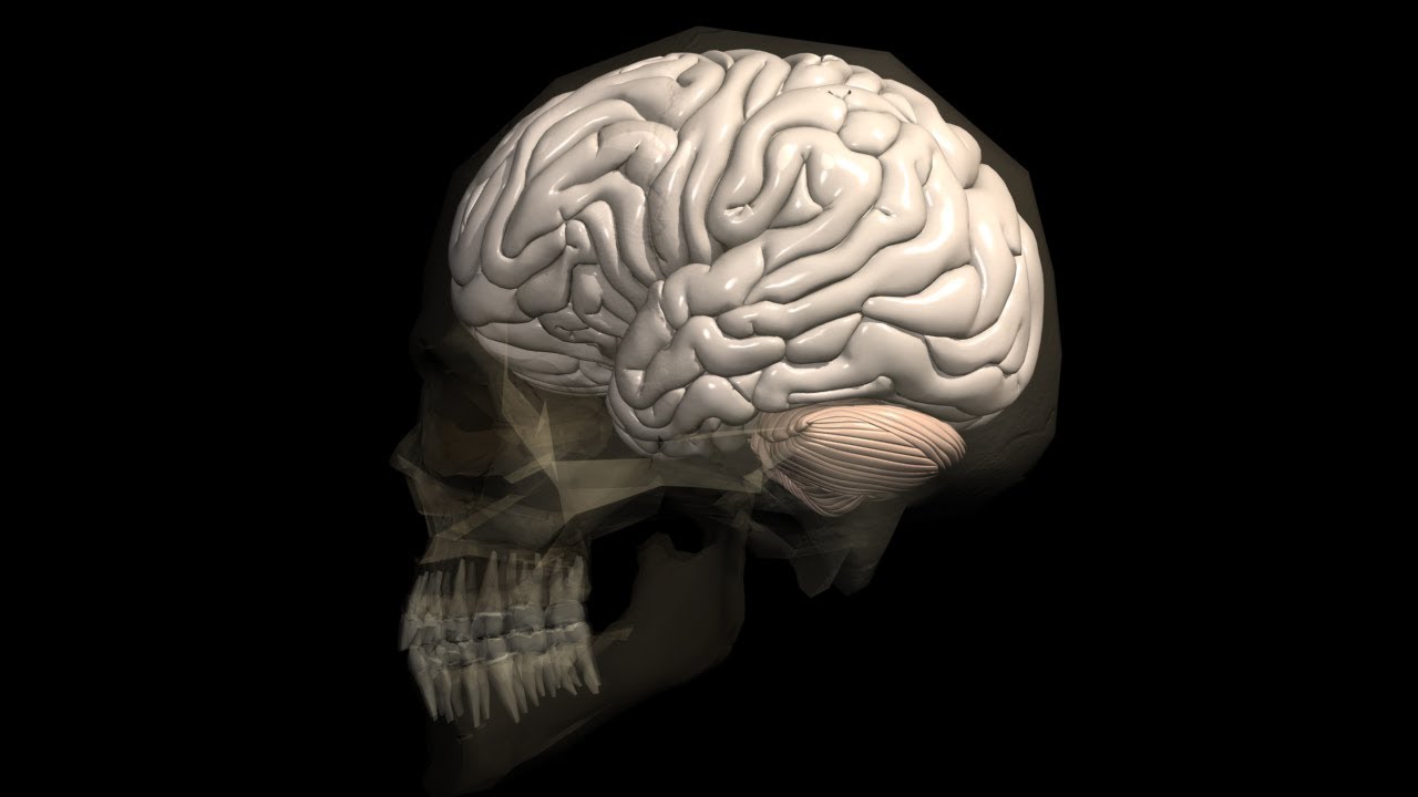 Stroke therapy: Primary vs Comprehensive stroke centers