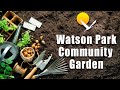 Watson Park Community Garden Gets An Upgrade