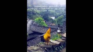 Download lagu Selamat pagi 🌄| | Story wa 30 detik | Status Medsos mp3