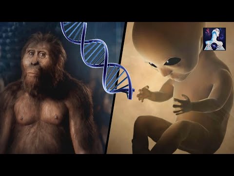 Aliens Genetically Created Us: Overwhelming Evidence
