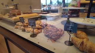 Panera Bread　　Walk around 2024
