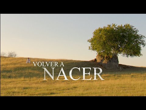 Mr. Don - VOLveR a NACer | Video Oficial
