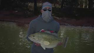 Bassmaster Fishing 2022 Lake Hartwell online open round 3!!!