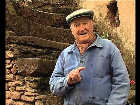 Lo tropèl d'abelhas