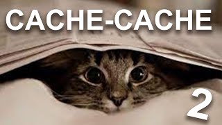 CACHE-CACHE 2